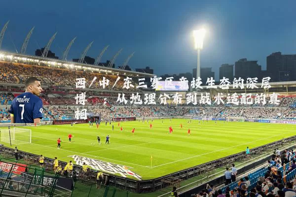 西/中/东三赛区竞技生态的深层博弈:从地理分布到战术适配的真相